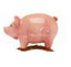 Privileged Foreign Currency Fixed Deposit  