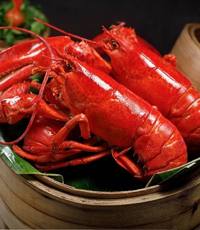 香港海洋公園萬豪酒店夏日美食獻禮