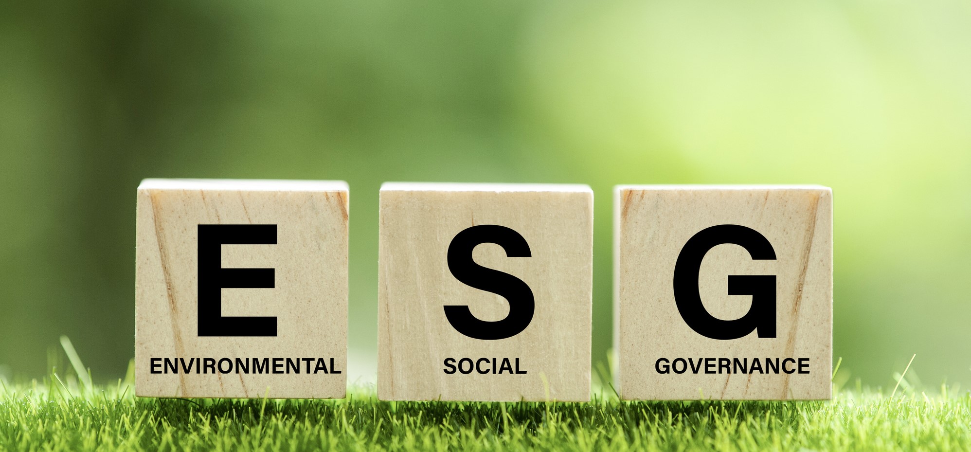ESG 政策