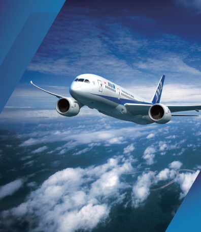 10% Discount on ANA Air Ticket Purchase 