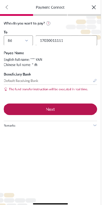 Payment Connect Service