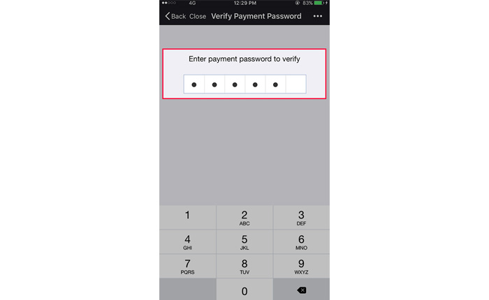 Enter the payment password to verify the transaction