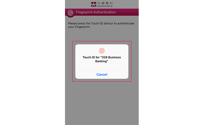 If you choose to enable Fingerprint Authentication, please touch the fingerprint sensor on your mobile phone to verify your fingerprint; If you choose to enable Face ID Authentication or Facial Recognition, please look at your device camera to verify or register your Face ID or facial map.