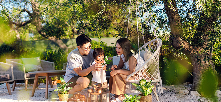 SunJoy Global Insurance Plan II